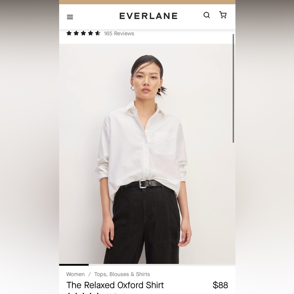 Everlane Relaxed Oxford Shirt